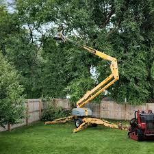 Lawn Maintenance Plans in Paducah, TX
